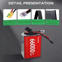 Batterie Li-ion haute énergie 3,7 V 66000 mAh 2025, directement de l'usine, pour drones et jouets télécommandés, pour applications à haute puissance