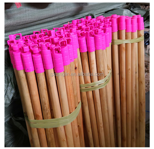 Manche de balai en bois écologique le plus vendu avec poils en plastique, design portable, doux et imperméable, longueur 120 cm - Product Image 6