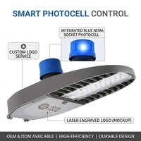 Brücken-LED-Straßenleuchte 50W 100W Vibrationsbeständiges Aluminium IP66 Hohe Windlast Typ III Verteilung CE Großhandel