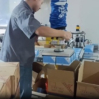 Lève-chargeur de cartons ergonomique à tube sous vide pour la logistique et le chargement en entrepôt