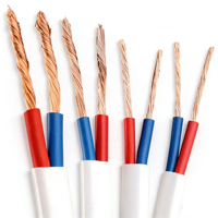 Kabel Pemanas Rumah Berisolasi PVC Pipih Berlapis Tembaga 2 Inti Fleksibel Lunak BVVB RVV 2*2.5 300/500 450/750V Putih Tanah