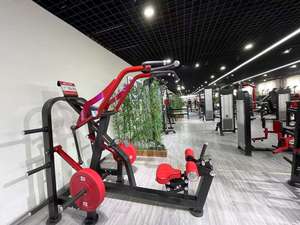 Xây Dựng Cơ Bắp Đào Tạo Cơ Thể Tấm Nạp <span class=keywords><strong>Rigo</strong></span> Kéo Trở Lại Đào Tạo Thiết Bị Tập Thể Dục Cho Phòng Tập Thể Dục Trong Nhà Sử Dụng Thiết Bị - Product Image 4