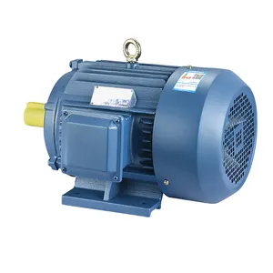 YE2-315M-6 90kw 50hz 60hz 380v Induction Motor Water Pump Three Phase Induction Motor