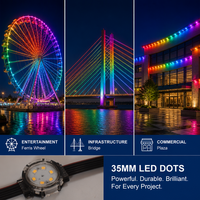Lumière ponctuelle LED PC extérieure personnalisée, étanche IP67, 35 mm, couleur pleine, avec garantie de 2 ans pour les décorations de maison et de fêtes