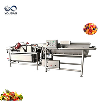 YOUBAN Custom Multifunctionele Vortex Reinigingsmachine Vibratiebelletjes Wasapparatuur voor de verwerking van fruit, groenten en vis