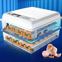 Automatic Eggs Incubator Machine, Automatic Hatcher