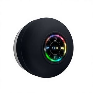 רמקול מיני נייד 5.0 עם רדיו FM, תמיכה בכרטיס TF ו-USB, מופעל על ידי סוללה לשימוש במסיבות בחוץ - Product Image 2