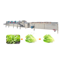 Fruit- en groentedroger, industriële gehaktmolen met hoge efficiëntie, moringa-voedselsterilisator, 304 roestvrijstalen bladdroger en -molen