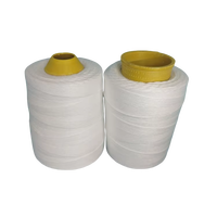 Hilo de Poliéster Hilado Teñido o de Color Mixto para Cerrar Bolsas de Arroz, 8 kg por Cono, 10s3 10s4 12s4 20s6, Precio Económico, para Prendas y Calzado