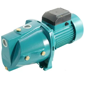 China 0.75kw Cast Iron Body Copper Wire Motor Self-priming JET Pump OEM Factory