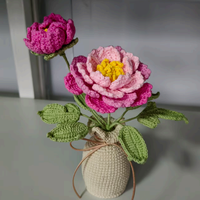 Fleur de pivoine en crochet 3D faite à la main avec vase, fleur artificielle réaliste tricotée, cadeau parfait pour la fête des mères et la décoration de la maison