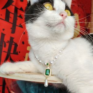 Collar de gato de perlas de lujo con colgante de gama alta seguro perro gato mascotas collar joyería para <span class=keywords><strong>gatitos</strong></span> <span class=keywords><strong>persas</strong></span> - Product Image 4