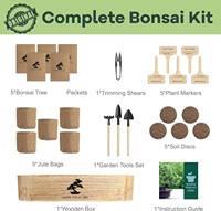 Kit d'arbre bonsaï en bois de style moderne pour fournitures de jardin