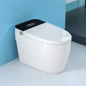 Baño de cerámica de una pieza montado en el suelo con descarga automática, inodoro inteligente con bidé Wc inteligente
