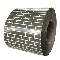 Peinture Métallique Nacrée Revêtue de PVDF 0,5 mm 1200 mm Bobine d'Acier Prépeinte PPGI Haute Durabilité