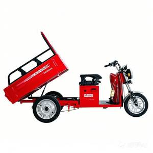 Hot Selling Passenger Tricycle for Tourism Transport - Product Image 3