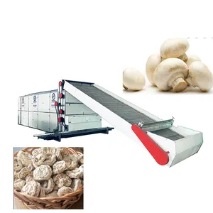 Hot selling multi-layer mesh belt mushroom hawthorn drying machine air heat pump dryer
