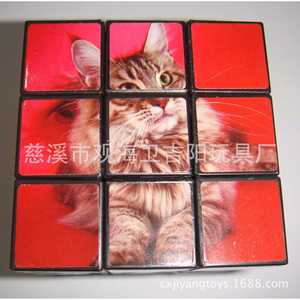 Cubo de Rubik 3x3 con estampado de gato para niños y adolescentes, juguete de regalo promocional Cixi Zhejiang JY 8055 - Product Image 1