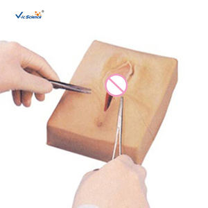 Simulator Pelatihan Penjahitan <span class=keywords><strong>Vagina</strong></span> Perineum dan Organ Kelamin untuk Dijual, Peralatan Pengajaran Ilmu Kedokteran, Model Pelatihan - Product Image 4