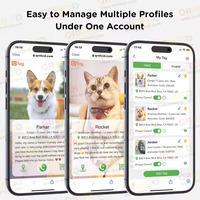 Étiquette d'identification de chien personnalisée en acier inoxydable luxueux étanche Durable forme d'os Code QR colliers pour animaux de compagnie à graver laisses harnais