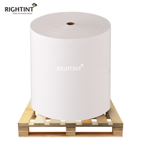 Materiales Autoadhesivos en Rollo para Flexografía, Películas de Papel, Materiales Autoadhesivos, Película Autoadhesiva de Polipropileno Blanco
