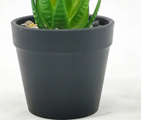 Ensemble de mini-plantes artificielles vertes en pot en plastique, succulentes écologiques, décorations intérieures pour la maison, pour Pâques et les mariages