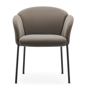 Pieds métalliques de styliste d'<span class=keywords><strong>italie</strong></span>, chaise de loisirs, ensemble de meubles de salon, restaurant, couloir, offre spéciale - Product Image 1