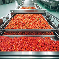Vruchtensap Concentratie Machine Appelsap Tomatensap Productielijn