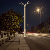 LaiHong Réverbère LED intelligent Réverbère LED pour autoroute Étanche IP67 en alliage d'aluminium Panneaux de feux de circulation et drapeaux de caméra