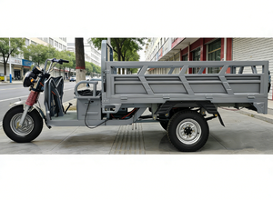 Tricycles fabriqués en Chine, véhicule <span class=keywords><strong>de</strong></span> transport <span class=keywords><strong>de</strong></span> marchandises, transporteur électrique, capacité <span class=keywords><strong>de</strong></span> 2 tonnes, meilleur prix - Product Image 5