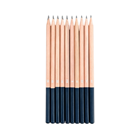 Ensemble de crayons à dessin en bois naturel FLOWood, 10 pièces, plusieurs grades 4H-5B, crayons à dessin en graphite résistants aux bris pour artistes