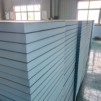 Fournisseur d'usine Panneau de support de carrelage XPS Isolation thermique du sol Panneau imperméable Salles de bain Polystyrène Panneau Wedi Applications murales