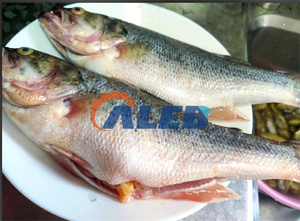 เครื่องหั่นเนื้อปลาสำหรับอุตสาหกรรม  เครื่องตัดเนื้อปลาซากุบะ  เครื่องหั่นปลา<span class=keywords><strong>แซลมอน</strong></span><span class=keywords><strong>สด</strong></span>ประสิทธิภาพสูง - Product Image 2