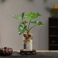 Décoration de chambre Micro Paysage Terrarium en verre Clair Fait à la main Sans BPA Vase Cylindre en verre Lot de 3pcs avec couvercle en liège et plateau en bambou