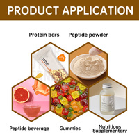 Complément alimentaire naturel de haute qualité pour la santé masculine, extrait de racine de maca noire en vrac, aide à l'antioxydation et à l'immunité