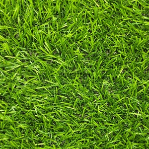 A03 tappeto in erba sintetica per <span class=keywords><strong>giardino</strong></span>, - Product Image 2