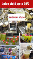 Extracteur de jus de canne à sucre automatique 300 kg/h, presse à canne à sucre commerciale à batterie pour magasin