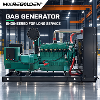 Automatisch Startender 40kW 50kVA Biogas-Generator für Landwirtschaft und Abfallenergie-Projekte