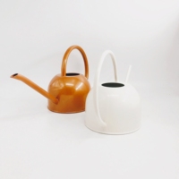Arrosoir en métal durable et écologique de 44 oz (1,3 litre) avec revêtement en poudre, personnalisable en gros, pour plantes d'intérieur, avec bec long