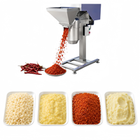 EU Food Grade 304 RVS Commerciële Groente- en Fruitpers Industriële Hoge Snelheid Puree Machine