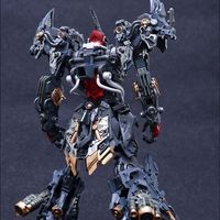 Stock Infinite New Star Rizade Infinite Dimension Modèle assemblé à l'échelle 1/100 Jouet de la série RMD Robots Mecha fabriqués en Chine 40 pièces