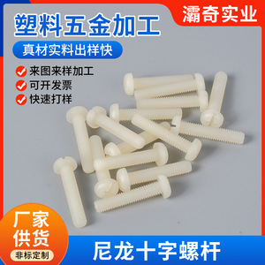 <b>Nylon</b> Phillips Head <b>Screws</b> Round Head Insulated Plastic Rods For Plastic Parts - Product Image 2