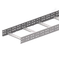 Plateau de câblage en acier pour la gestion et la protection des câbles électriques, hauteur de rail latéral 100 mm, usage industriel