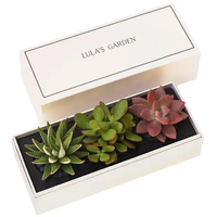 Boîte de papier d'emballage de plante cadeau vide personnalisée pour plantes succulentes