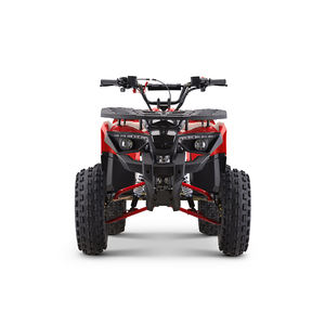 Nuevo Estilo, ATV Quad de 110cc 125cc, Automático, 4 Tiempos, con Transmisión por Cadena, <span class=keywords><strong>Cuatrimoto</strong></span> con Certificación CE en Venta - Product Image 6