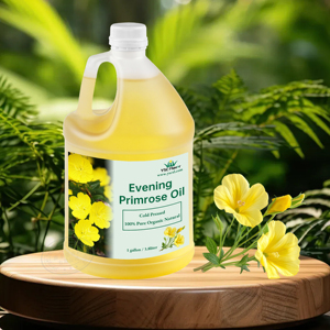 Kostenlose Probe Private Label Reines Natürliches Bio-Nachtprimelöl für Haut- & Körpermassage Hersteller Großhandel Bulk - Product Image 5