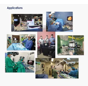 Sistema de imágenes de cámara endoscópica FHD integrada de 24 "Unidad de endoscopia 1080 IKEDA 9124H