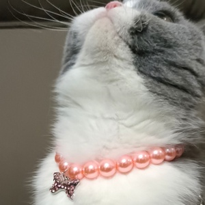 Lüks Pet inci kolye Bling köpek kedi inci yaka kolye papyon ile sevimli Pet süs köpek kemik kolye - Product Image 3