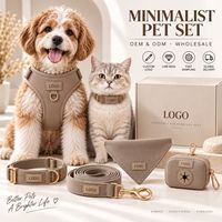 Ensemble de harnais minimaliste pour animaux de compagnie avec collier, laisse, bandana, porte-sac à excréments, quincaillerie dorée, logo personnalisé, boîte cadeau pour chien et chat
