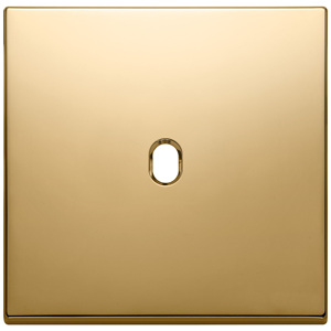 Plaque de porte vintage dorée, 9,5 pouces de longueur, 1,4 pouces de hauteur, trou ovale unique - Product Image 1